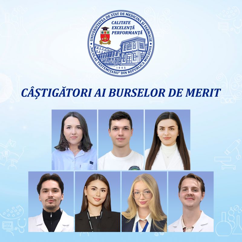 burse de merit